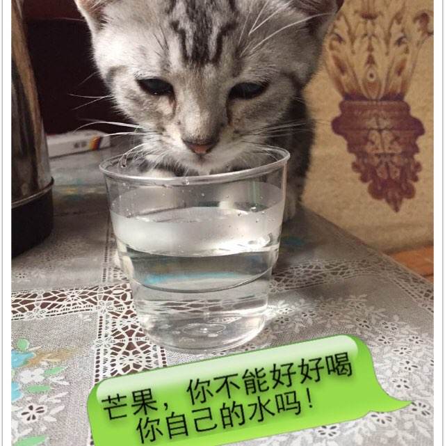 怎么办假巴克内尔大学学位证